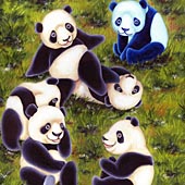 Oil painting, painting process, panda painting, illustration process, children's book illustration, panda illustration, popular illustrator, top illustrator