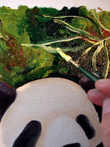 Oil painting, painting process, panda painting, illustration process, children's book illustration, panda illustration, popular illustrator, top illustrator