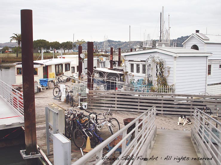 boat house community, boat house, artistic life, dog, sausalito, california,life on water