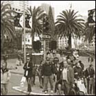 san francisco dwon town, union square, california, christmas tree, city