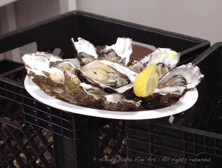 Drakes bay oyster farm, oysters, oysters in basket, fresh oyster, oyster farm, food, sea food, ocean