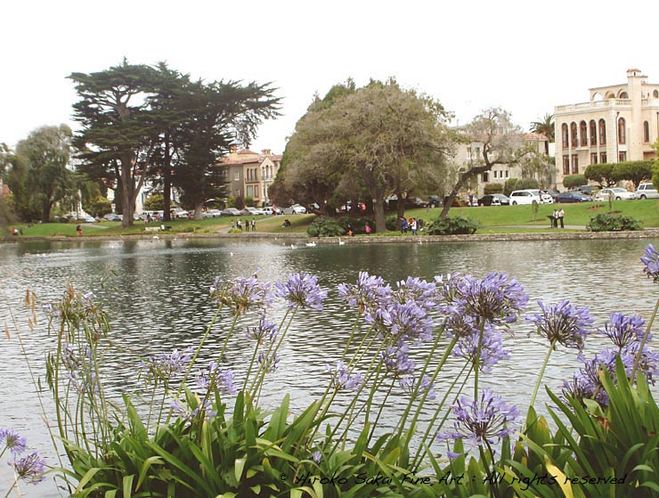 Palace of Fne Arts theatre, lake, beautiful scenery by the lake, cool spot in San Francisco, california