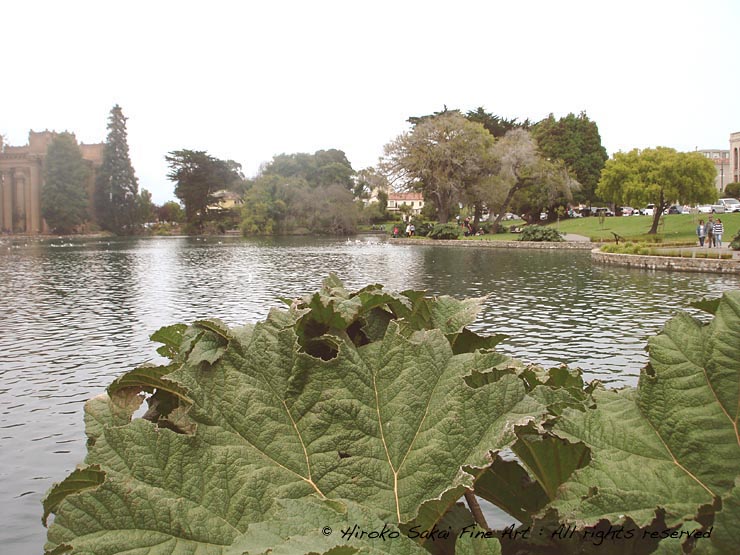 Palace of Fne Arts theatre, lake, beautiful scenery by the lake, cool spot in San Francisco, california