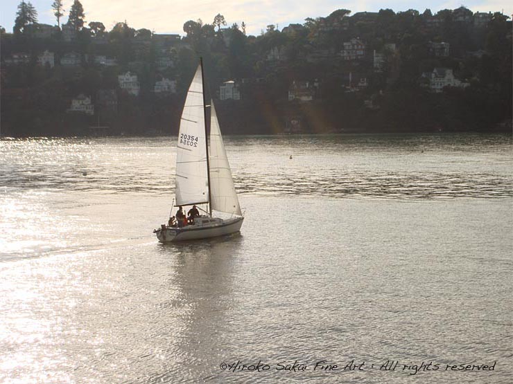 ocean, yacht, boat, san francisco bay, sunset on ocean, gold scenery, sea