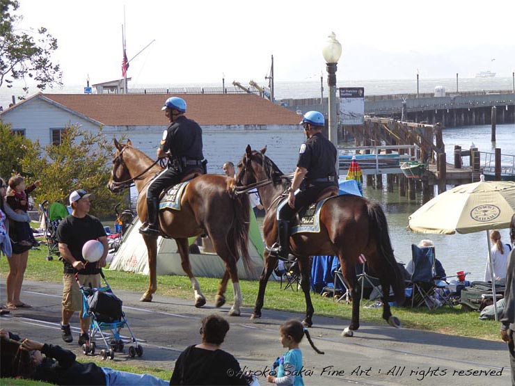 ocean, horse, horses, mounted police, bay side, festival, fire works, fishermen's whalf, san francisco bay, animal, working animals