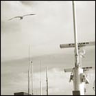 ferry, seagull, seagull flying above a ferry, summer, ocean, sea