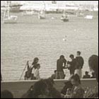 san francisco bay, fishermen's walf, ocean, bay view, july 4th, boats, photographers, yacht