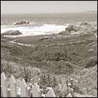 ocean beach, san francisco, california, cliff house, nature, ocean, beach, summer, sea