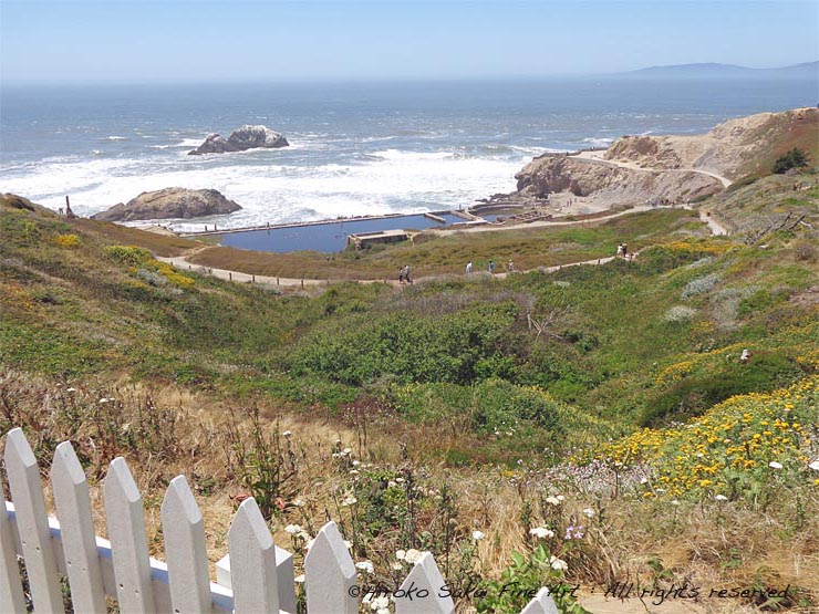 ocean beach, san francisco, california, cliff house, nature, ocean, beach, summer, sea