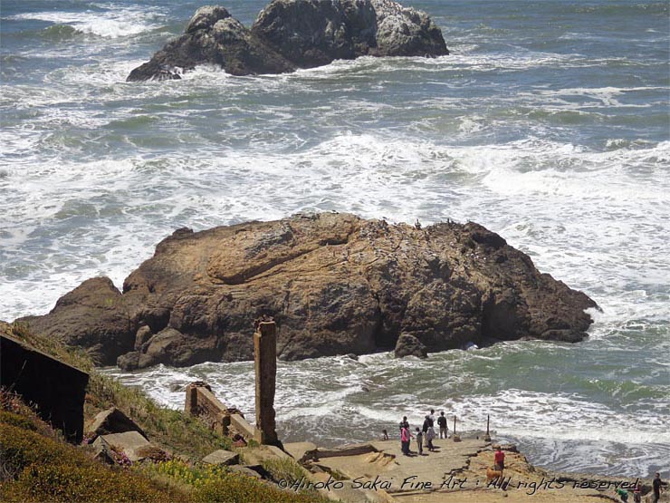 ocean beach, san francisco, california, cliff house, nature, ocean, beach, summer, sea