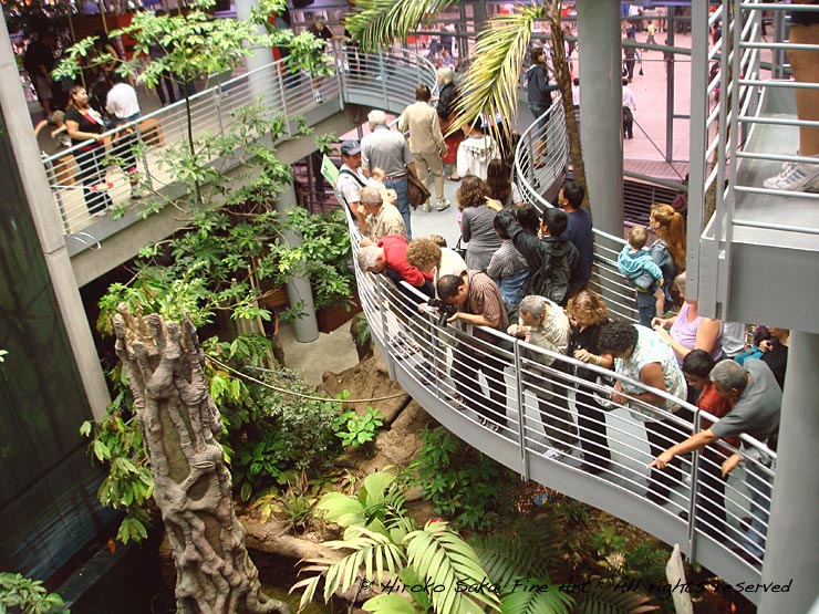 academy of science san francsico