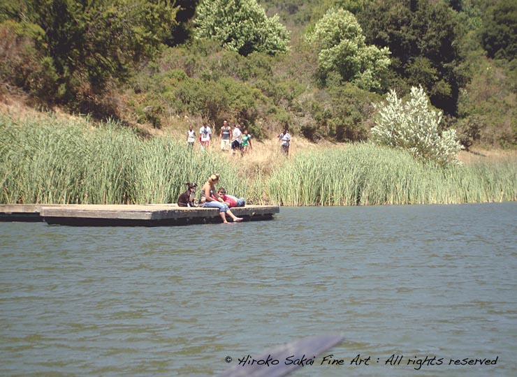 lake shabot, beautiul lake, national park, nature, water, trees, oakland, california , kids, children, lovers, couple by a lake