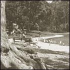 park, bench by lake, golden gate park san francisco, nature, seatull, afternoon, beautiful afternoon, trees